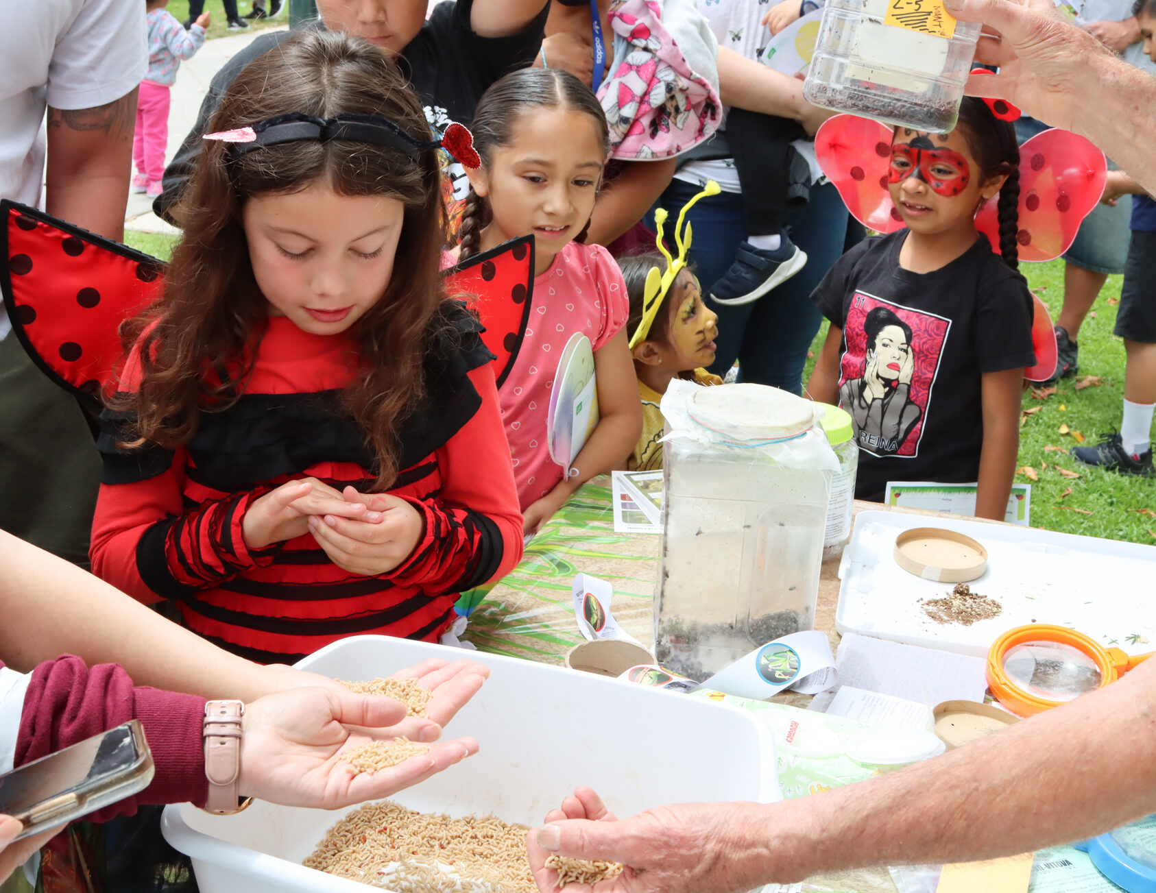 Children in ladybug costumes exploring different insect exhibits.