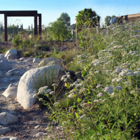 A dry creek bed used as an example of what will be available once the Campus Park improvement project is completed.