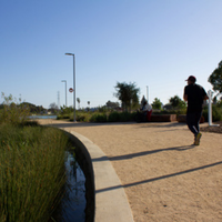 A walking path used as an example of what will be available once the Campus Park improvement project is completed.
