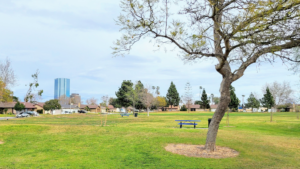 Orchard Park