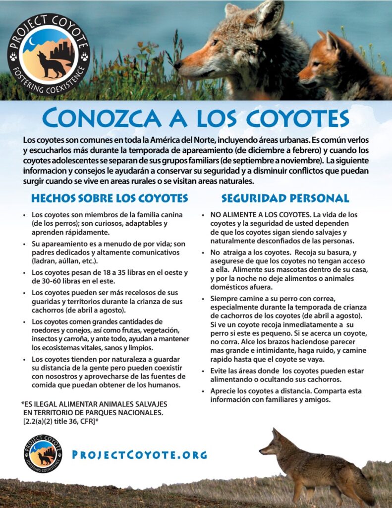 Be Coyote Aware Flyer in English