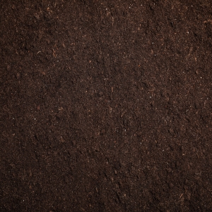 Close up of Compost 100.