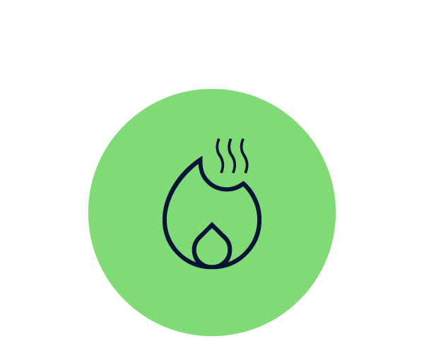 Wild Fire Smoke Icon